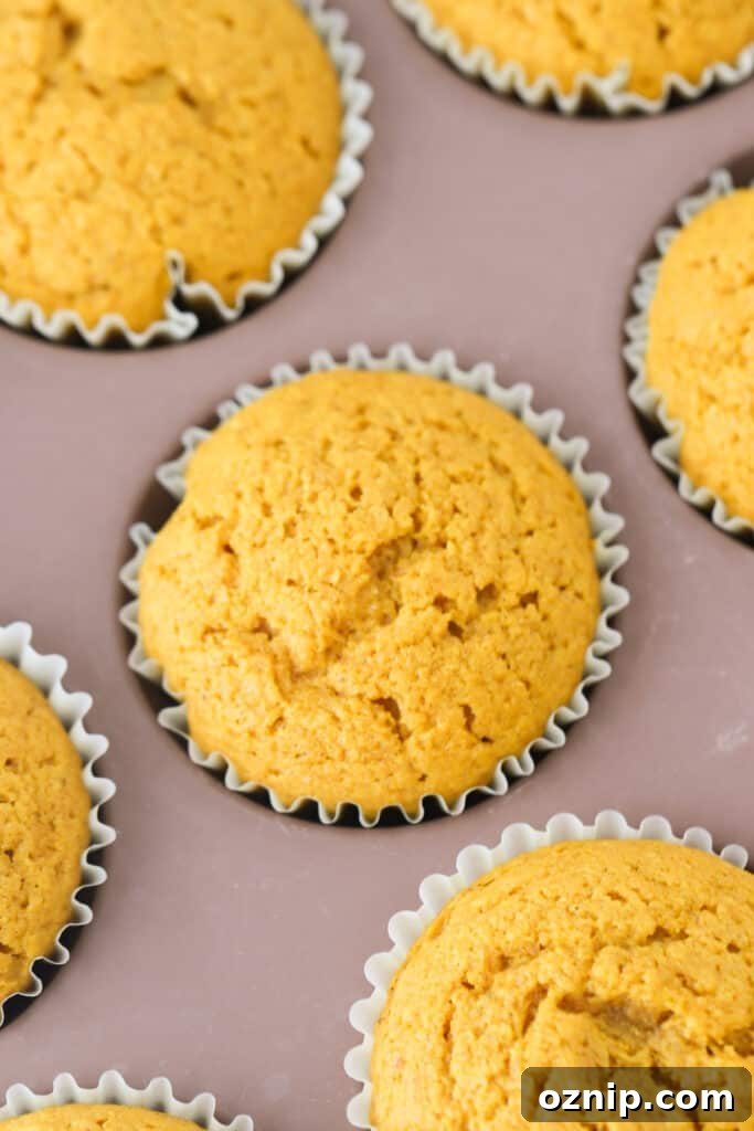 Pumpkin pie cupcakes still in the muffin tin.