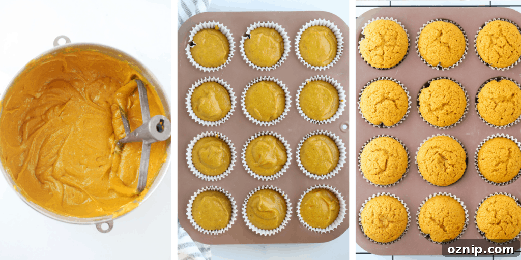 Pumpkin process image