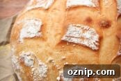 img 21348 10
