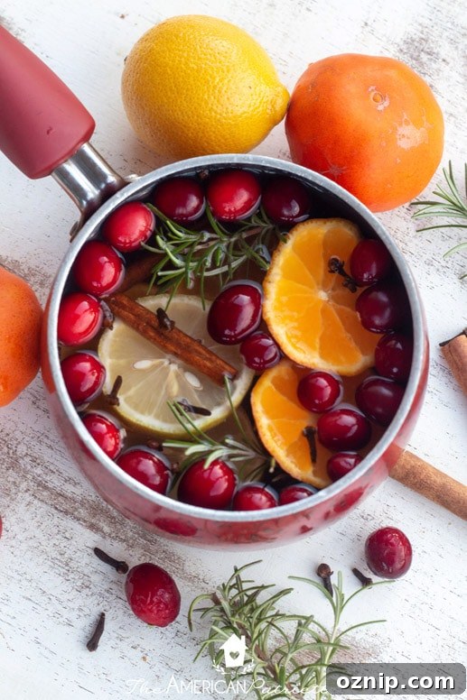 31 Handmade Christmas Gifts Under $10 12 holiday simmer pot mixes