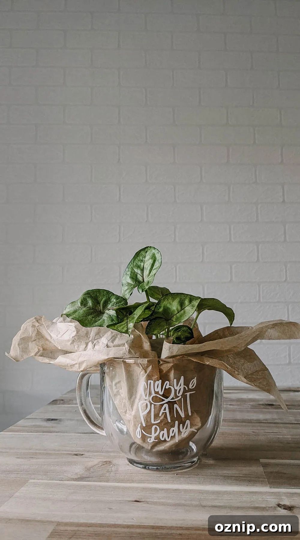 31 Handmade Christmas Gifts Under $10 19 DIY mugs of interest