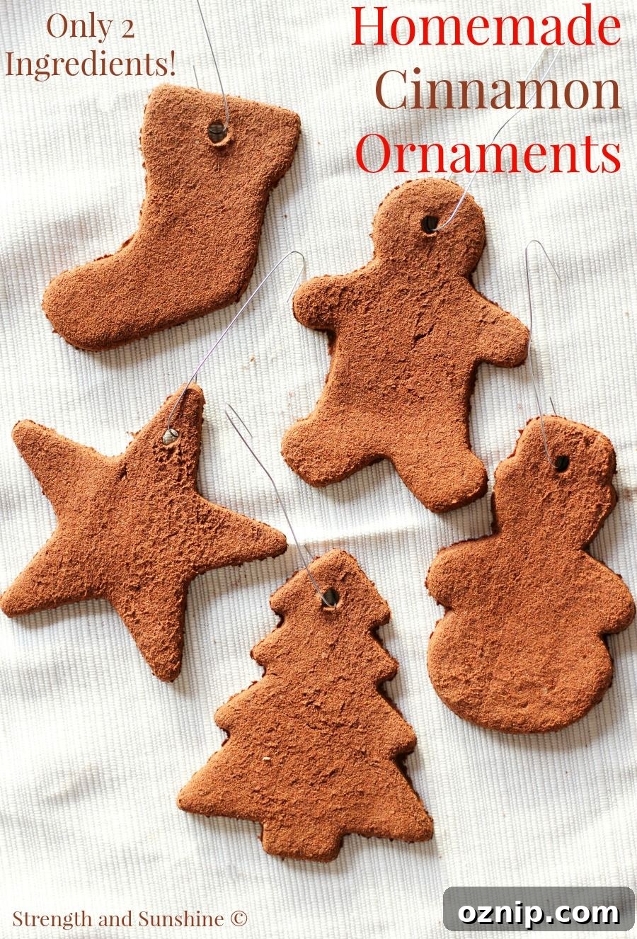 31 Handmade Christmas Gifts Under $10 6 cinnamon ornaments