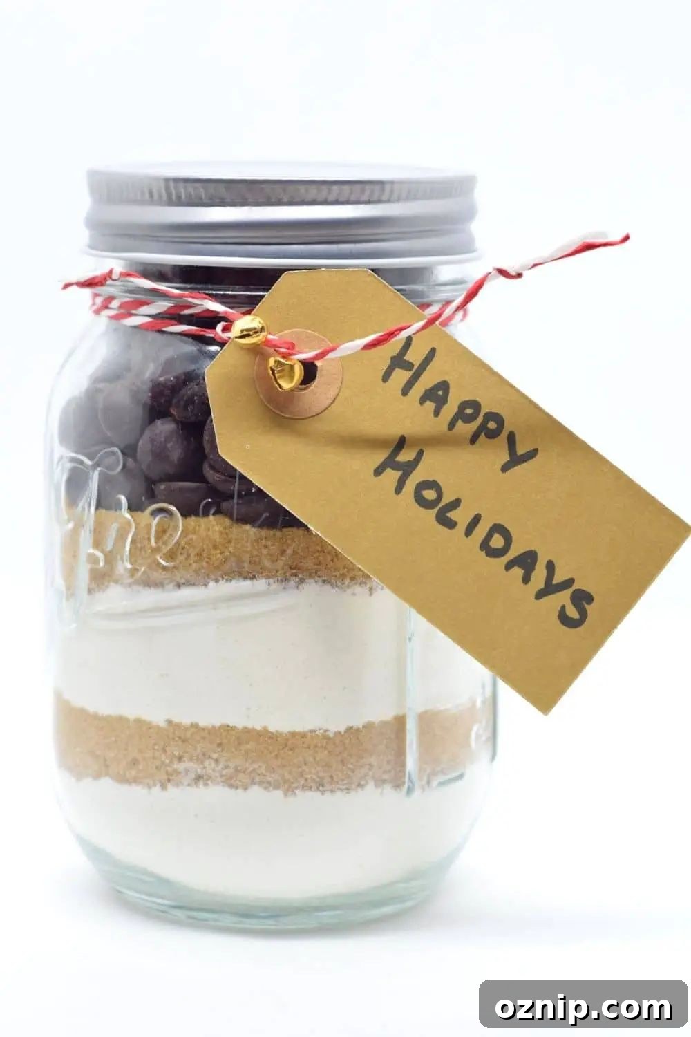 31 Handmade Christmas Gifts Under $10 7 vegan mason jar cookie mix
