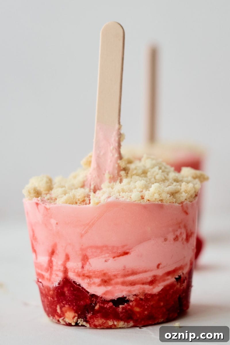 raspberry ice pops