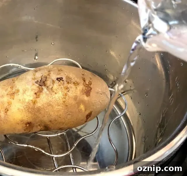 Pour water into Instant Pot