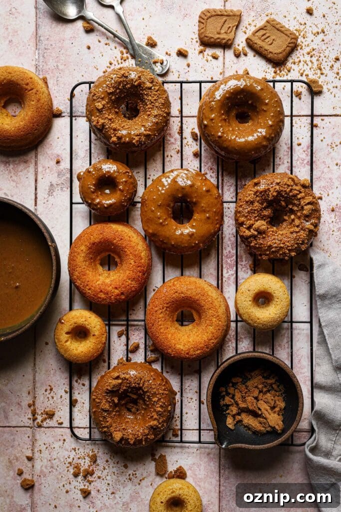 Moist Baked Pumpkin Donuts: Soft Fall Donut Recipe 8 Baked pumpkin donuts dipped with biscoff batter.