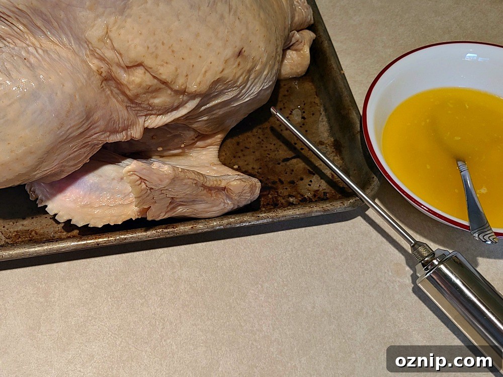 Jack Daniel's Smoked Turkey Brine Recipe 6 Metal Injector Next To Turkey To Inject Liquid Butter From Bowl