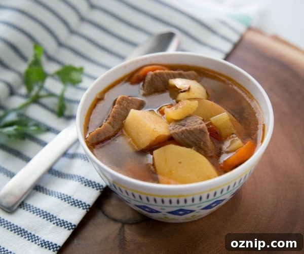Bowl of WW Instant Pot Beef Stew in a white bowl