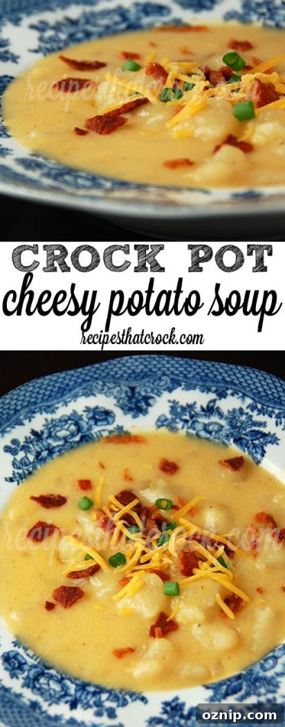 Cheesy Potato Soup collage