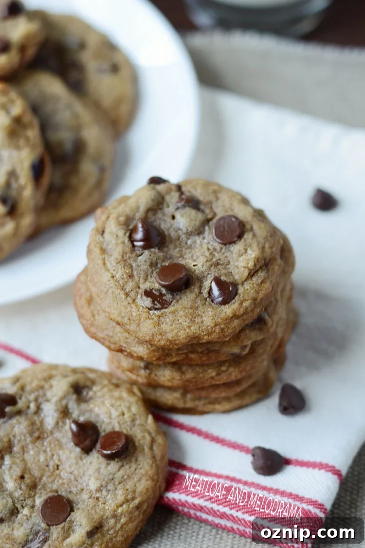 stack of chocolate chip cookies