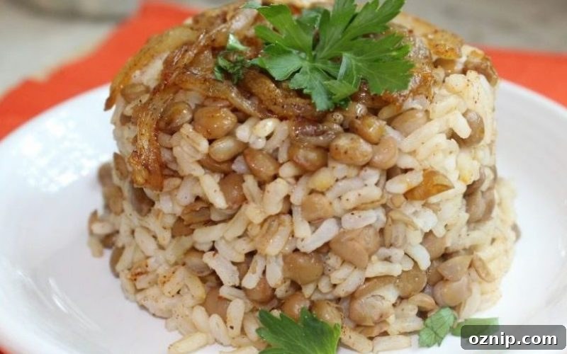 Mujaddara
