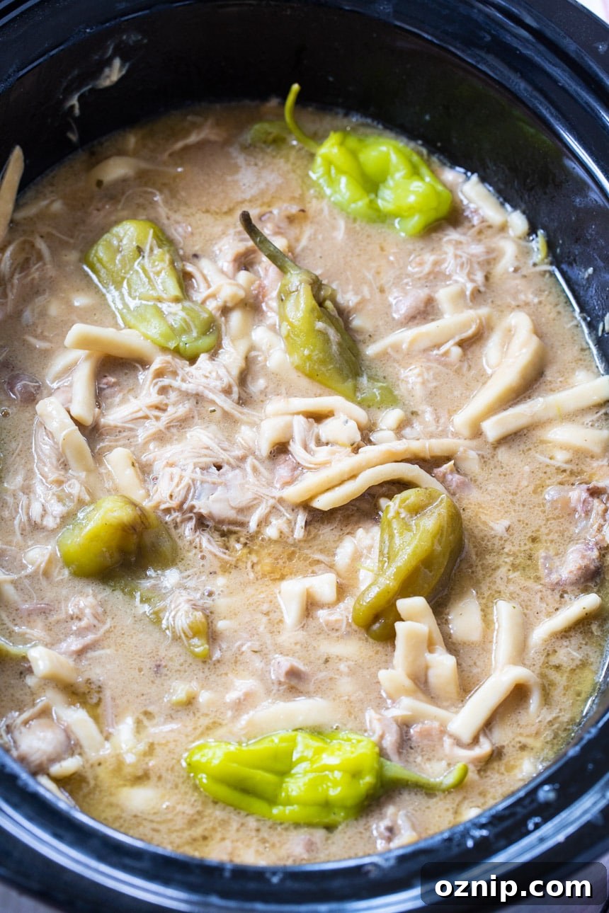 Crock Pot Mississippi Chicken and Noodles