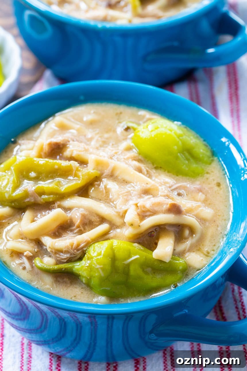 Slow Cooker Mississippi Chicken and Noodles