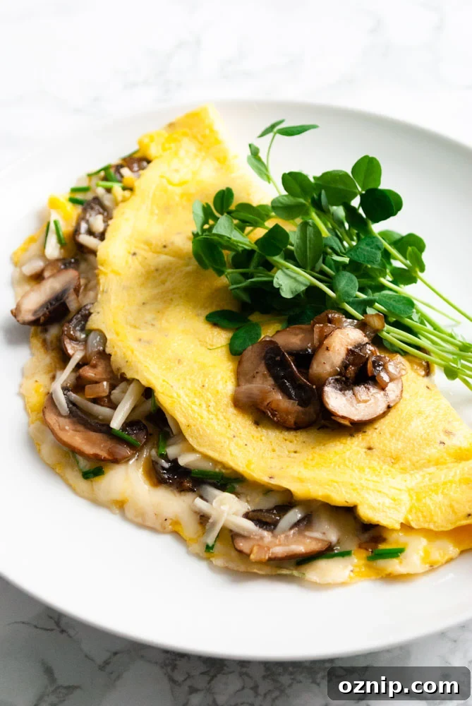 Mushroom Omelette Recipe with Cheese and Herbs 2 Mushroom and Gruyere cheese omelette on a plate with pea shoots.
