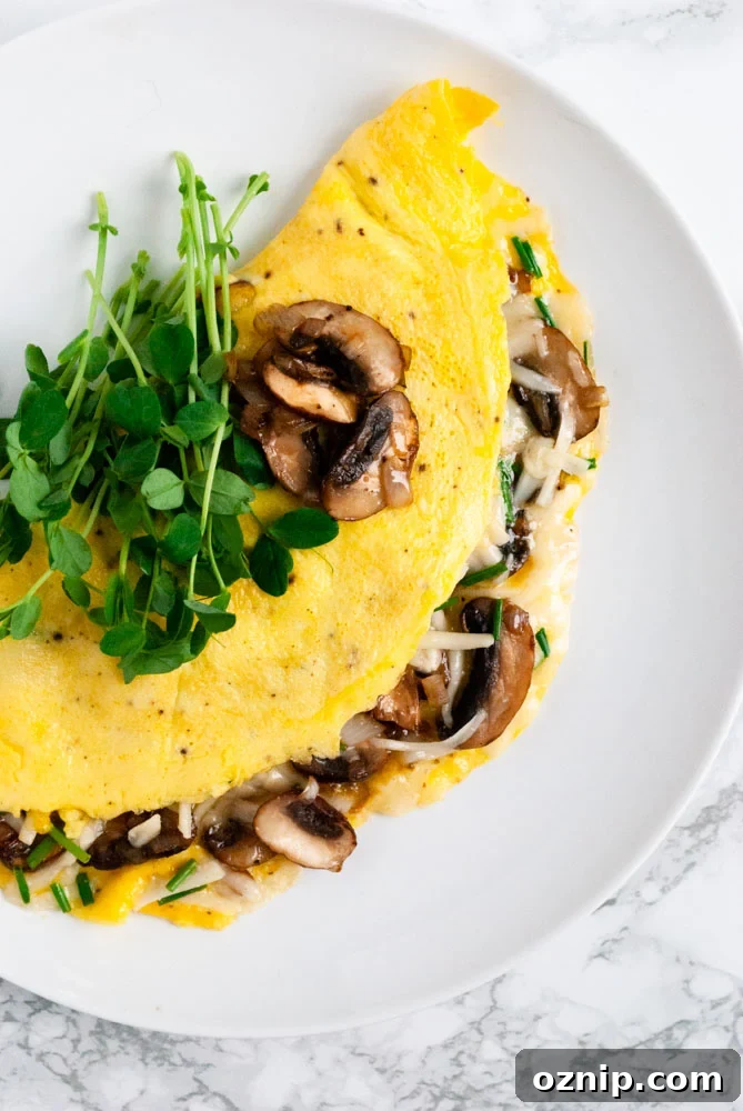 Mushroom Omelette Recipe with Cheese and Herbs 7 Mushroom omelette topped with microgreens on a plate.