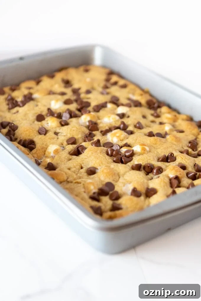 baked s'more cookie bars in 9x13 pan