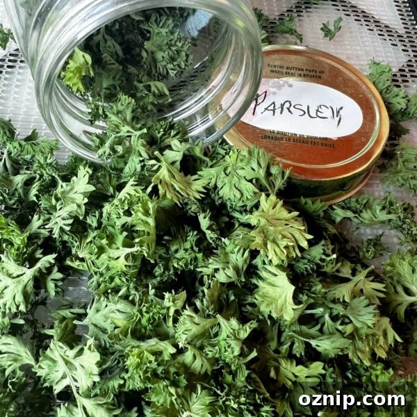 dried parsley spilling out of jar on side