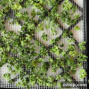 dried parsley on mesh tray
