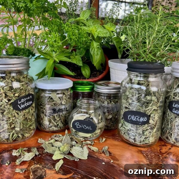 jars of dried herbs