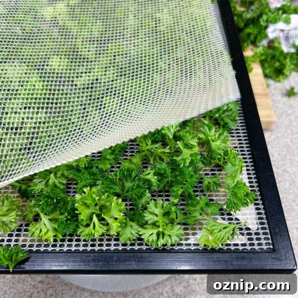 parsley on tray with mesh liner on top