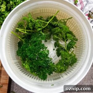 parsley in salad spinner