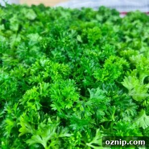 close up of fresh parsley leaves