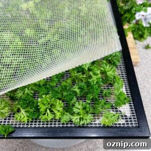 parsley on tray with mesh liner on top