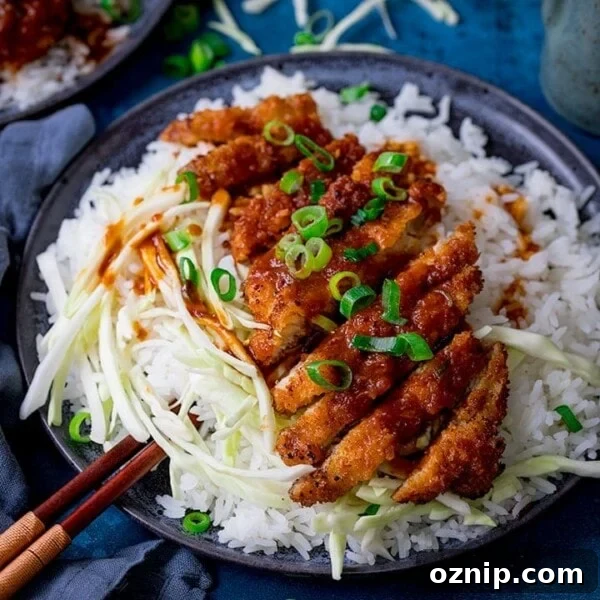 Tonkatsu pork curry on a plate with rice and cabbage