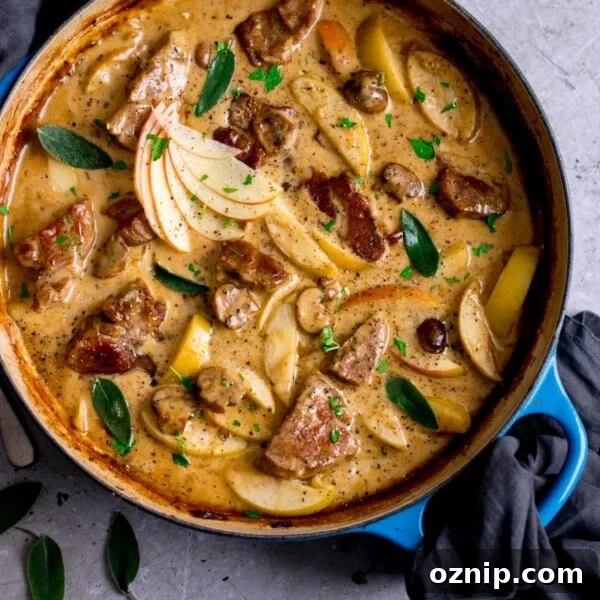 Overhead image of creamy pork and apple casserole in a blue casserole dish