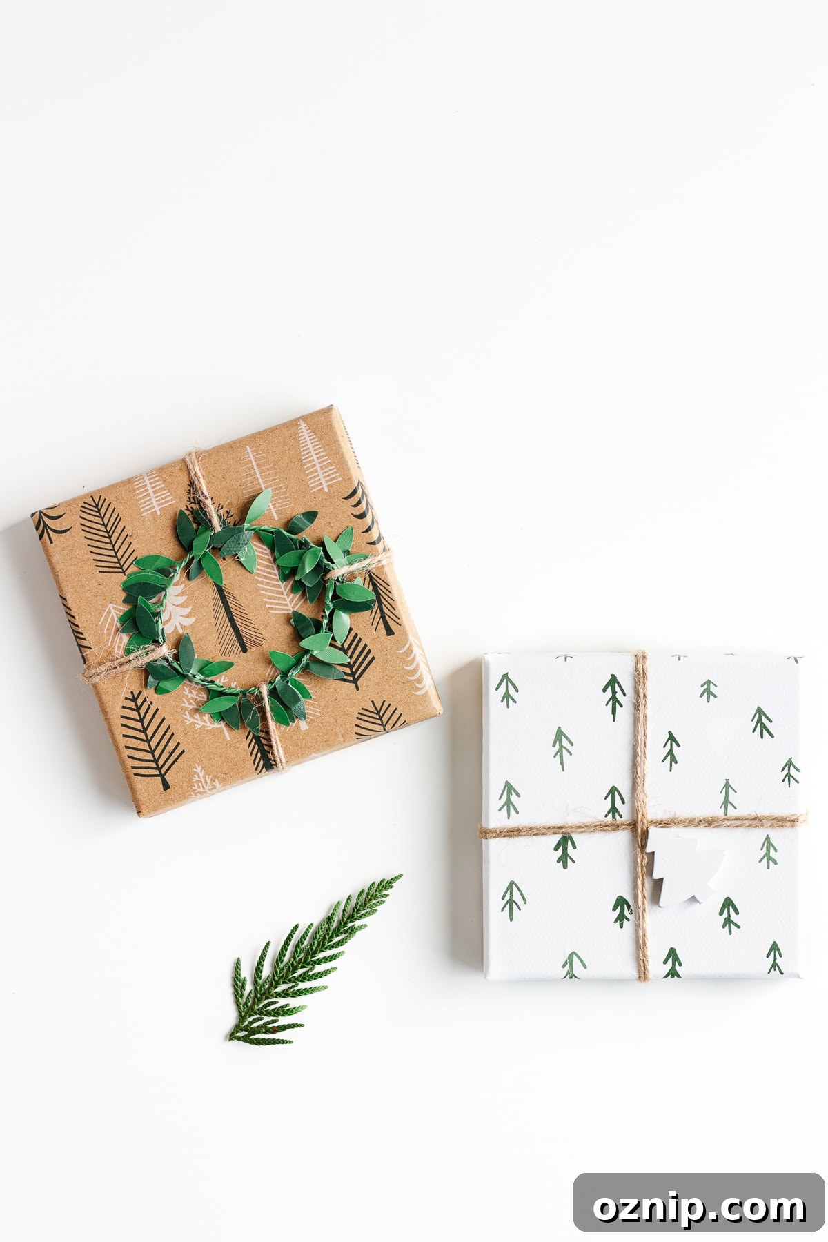 Overhead photo of two Christmas gifts and a small evergreen branch on a white background.
