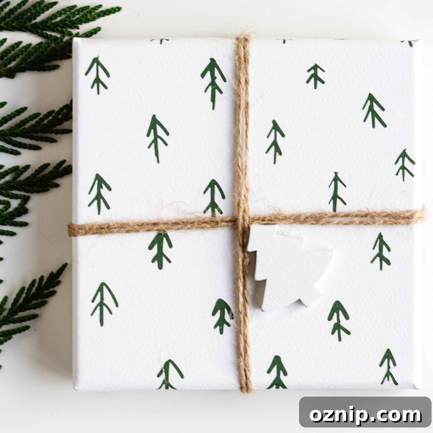Overhead photo of a Christmas gift next to an evergreen branch