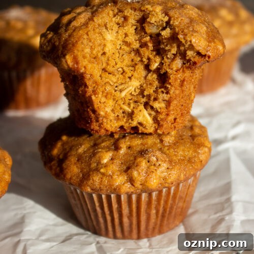 Gingerbread Oatmeal Muffins