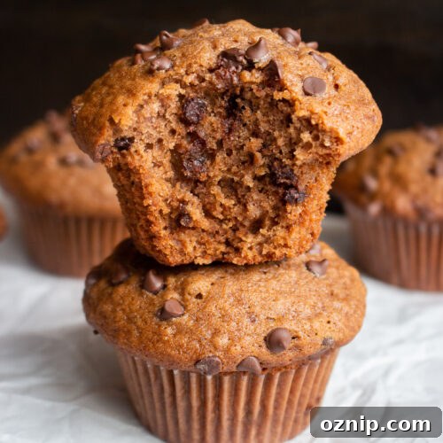 Easy Gingerbread Chocolate Chip Muffins