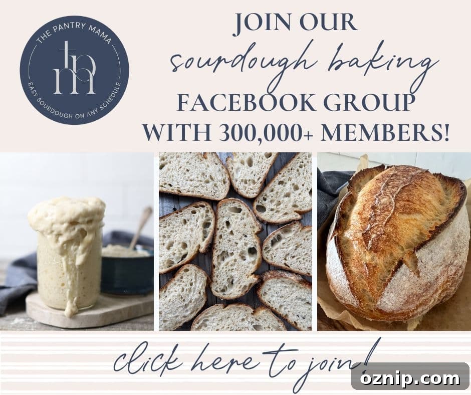 A group image related to sourdough baking