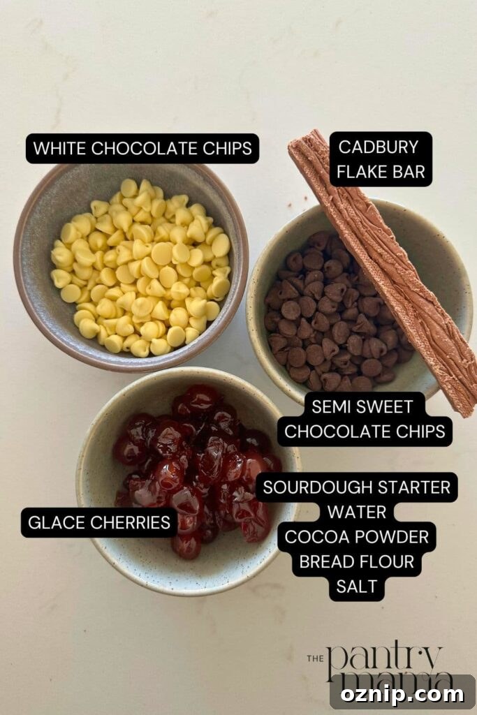 Flat lay of ingredients necessary to make a loaf of chocolate cherry sourdough bread.