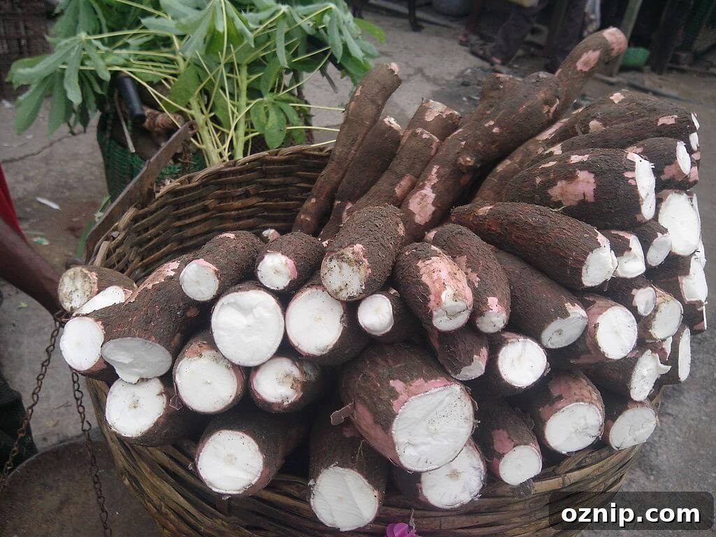 5 Key Facts About Cassava Flour for Baking and Cooking 2 Cassava flour is a popular gluten-free and grain-free flour for baking and cooking.