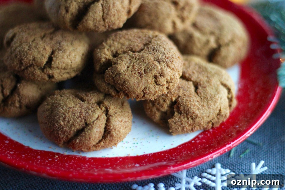 Soft and Chewy Gingerbread Cookies (AIP, Paleo) - an easy, delicious cookie recipe for the holidays or ANY time of year! You will LOVE these! | fedandfulfilled.com