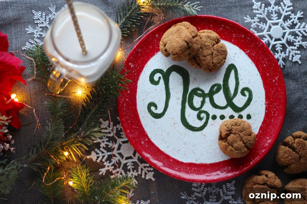 Soft and Chewy Gingerbread Cookies (AIP, Paleo) - these cookies are a delicious, allergy-friendly treat, filled with cinnamon, ginger, orange, and spice! All the flavors of Christmas! | fedandfulfilled.com