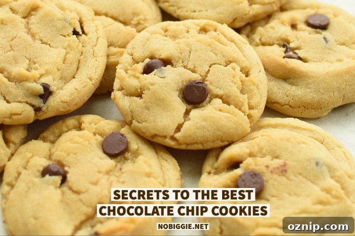 Chewy Chocolate Chip Cookies with Crispy Edges 2 chocolate chip cookies | NoBiggie.net