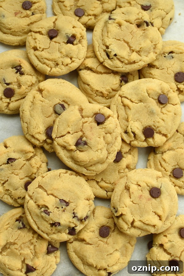 Chewy Chocolate Chip Cookies with Crispy Edges 3 chocolate chip cookies made with crisco | NoBiggie.net