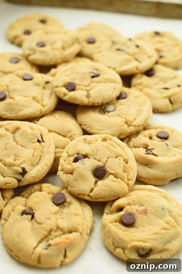 Chewy Chocolate Chip Cookies with Crispy Edges 7 best chocolate chip cookies | NoBiggie.net