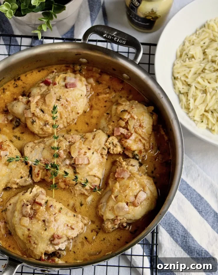 Chicken in Mustard Sauce