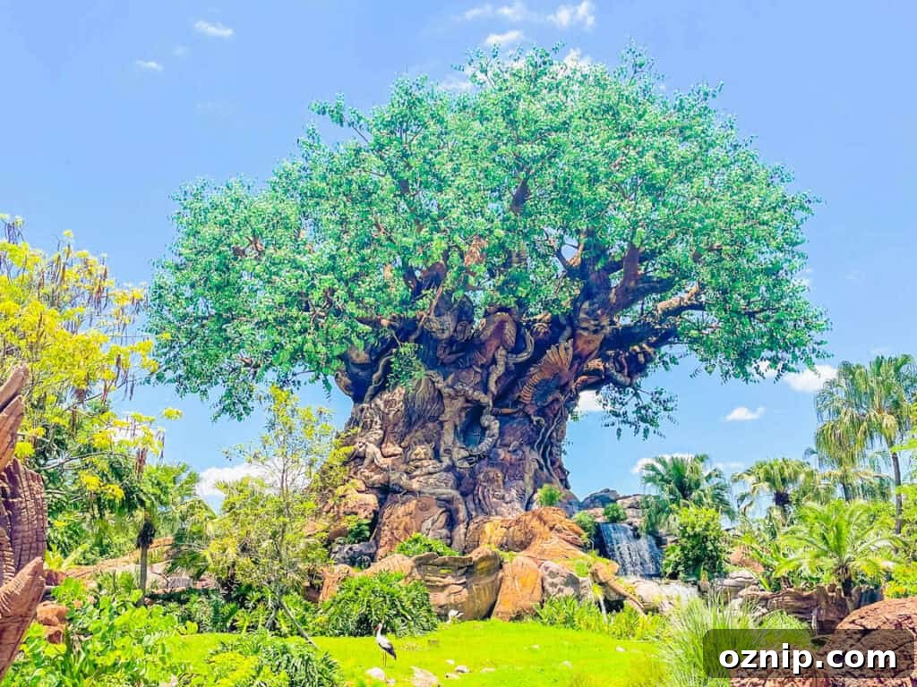 Must-Do Rides at Disney's Animal Kingdom 2 Tree of Life at Disney's Animal Kingdom.