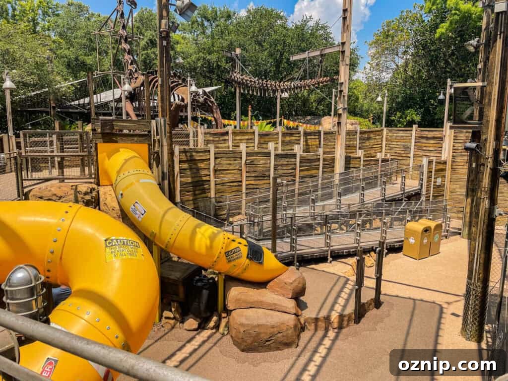 Must-Do Rides at Disney's Animal Kingdom 11 The Boneyard at Dinoland USA.