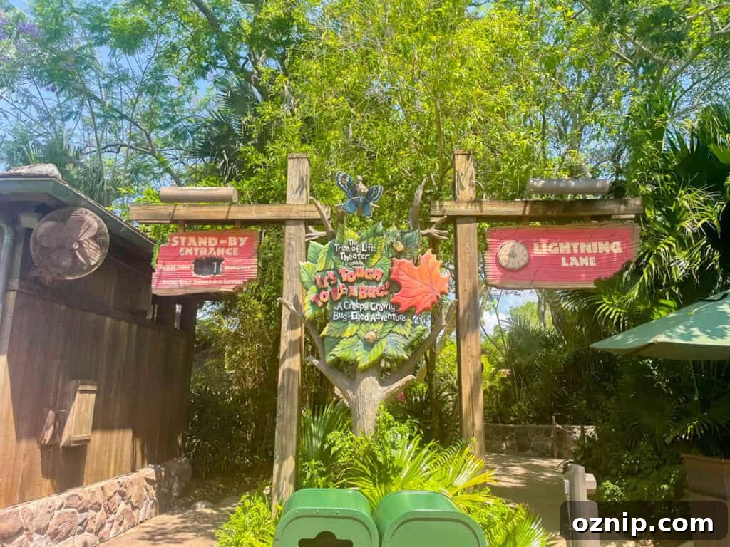 Must-Do Rides at Disney's Animal Kingdom 4 entrance and lightning lane for It's Tough to be a Bug.