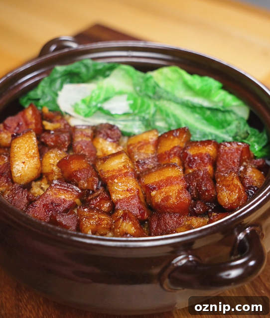 A finished bowl of red braised pork belly served over rice with optional steamed greens, showcasing the deep color, tender texture, and cozy presentation.