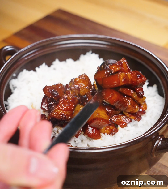 Chinese Red Braised Pork Belly Recipe 10 Spoonfuls of red braised pork belly being placed over freshly steamed white rice, with the glossy sauce soaking into the grains.