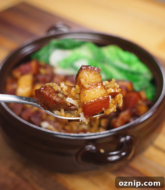 Chinese Red Braised Pork Belly Recipe 3 A spoonful of glossy red braised pork belly with tender cubes and sauce-soaked rice, showing the melt-in-your-mouth texture and rich caramelized glaze.