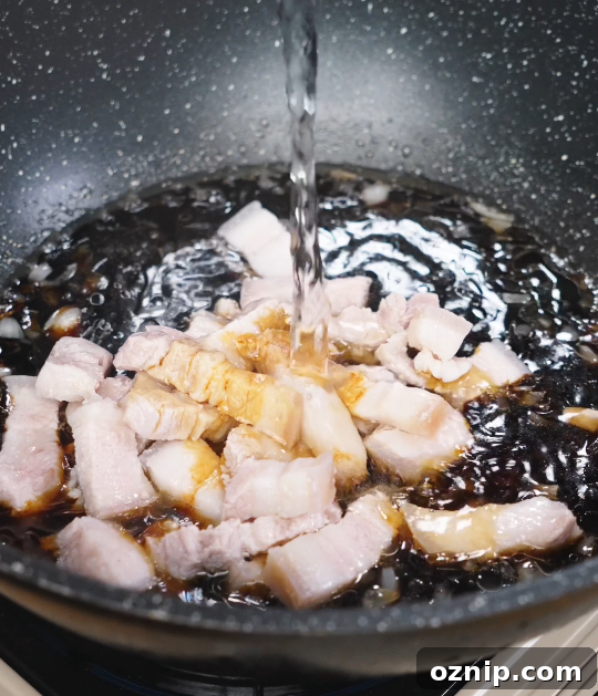 Chinese Red Braised Pork Belly Recipe 7 Pork belly cubes simmering in a dark soy-based braising liquid with Shaoxing wine, gently cooking until tender and infused with rich flavor.