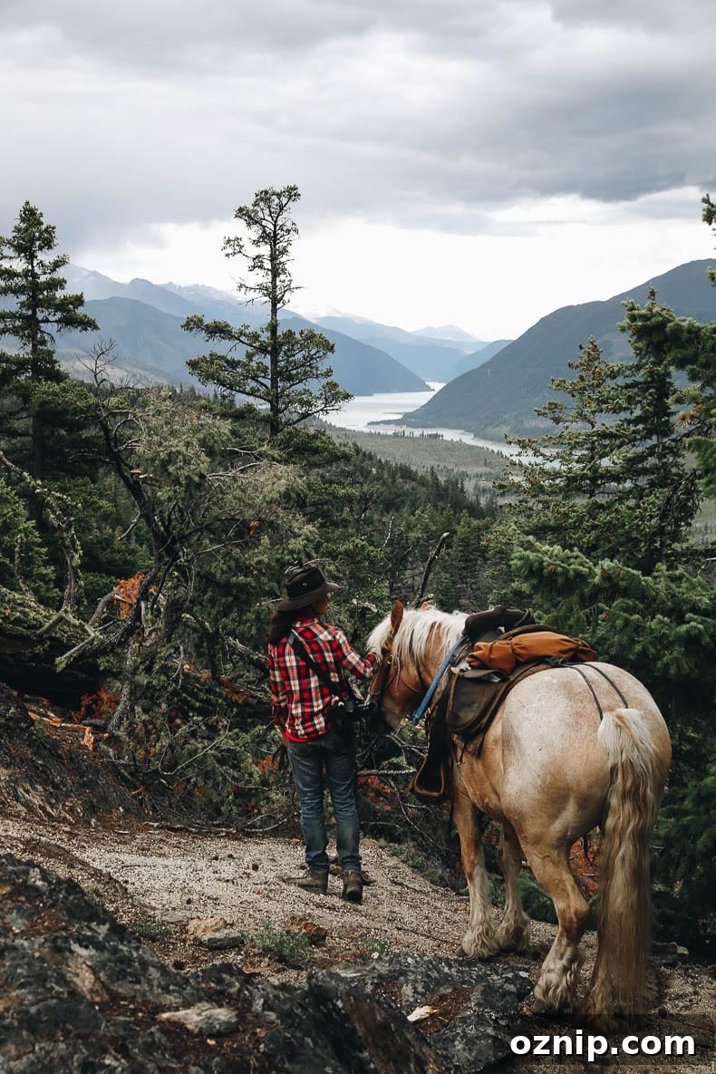 Horseback riding in the Chilcotin
